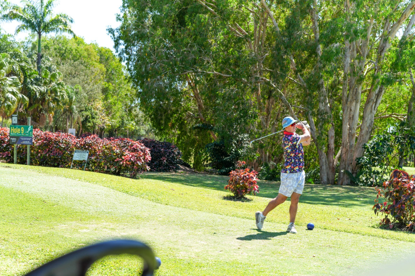 golf polo